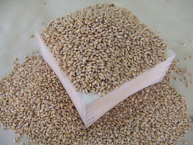 もみがらプレゼントで地域に還元