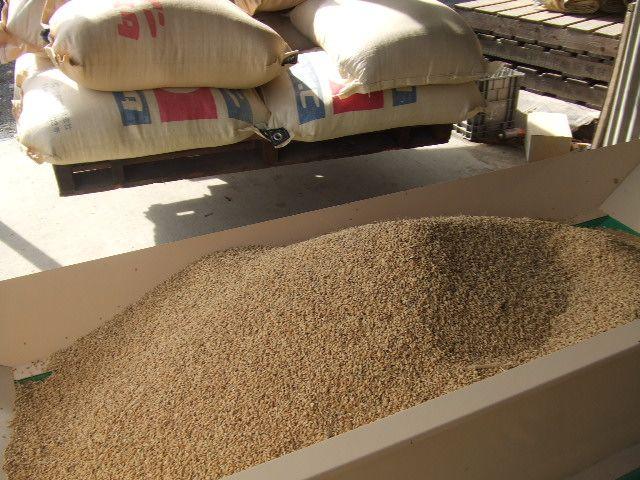 計量・袋詰め(小袋)