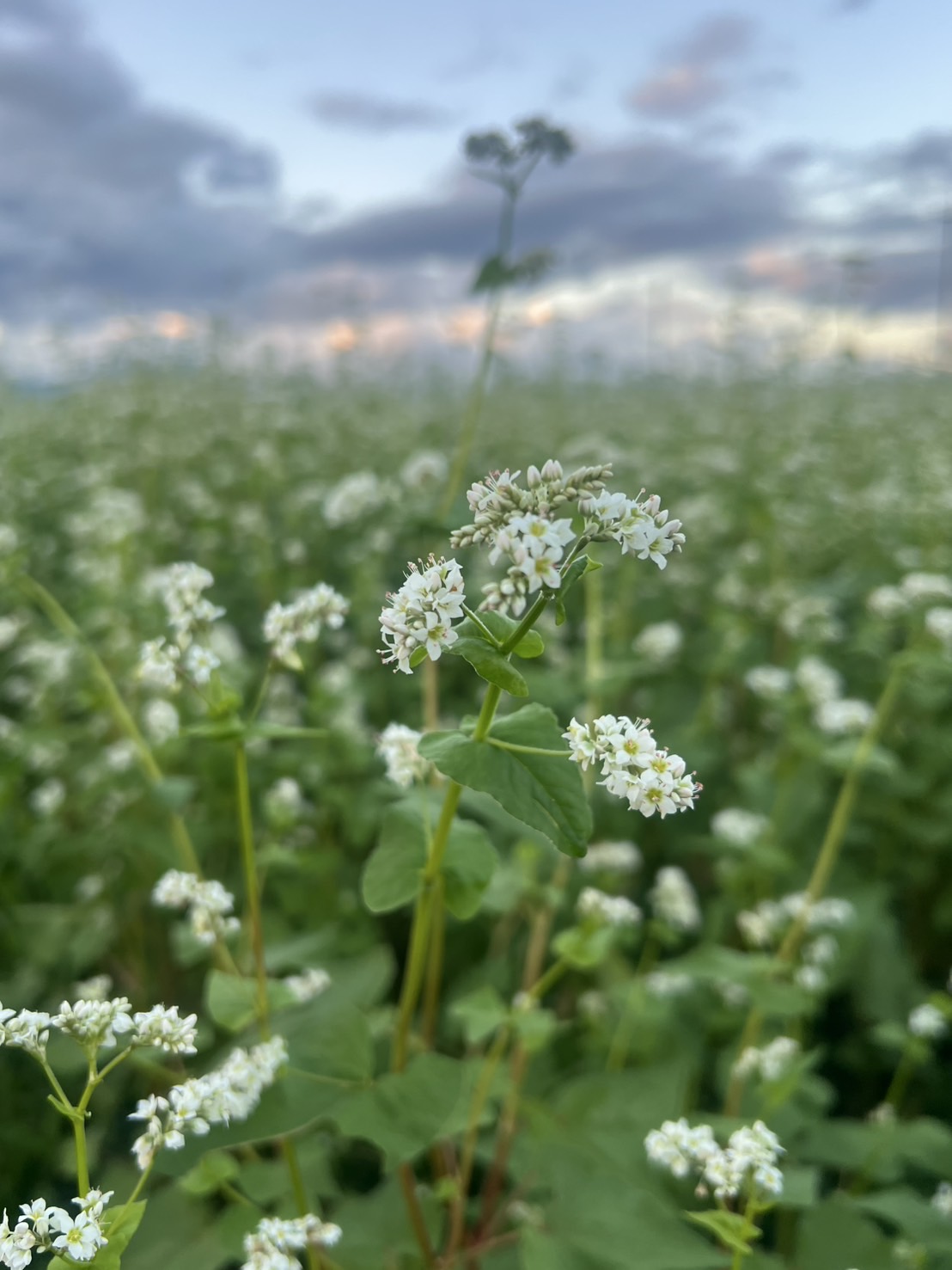 品質保持へのこだわり